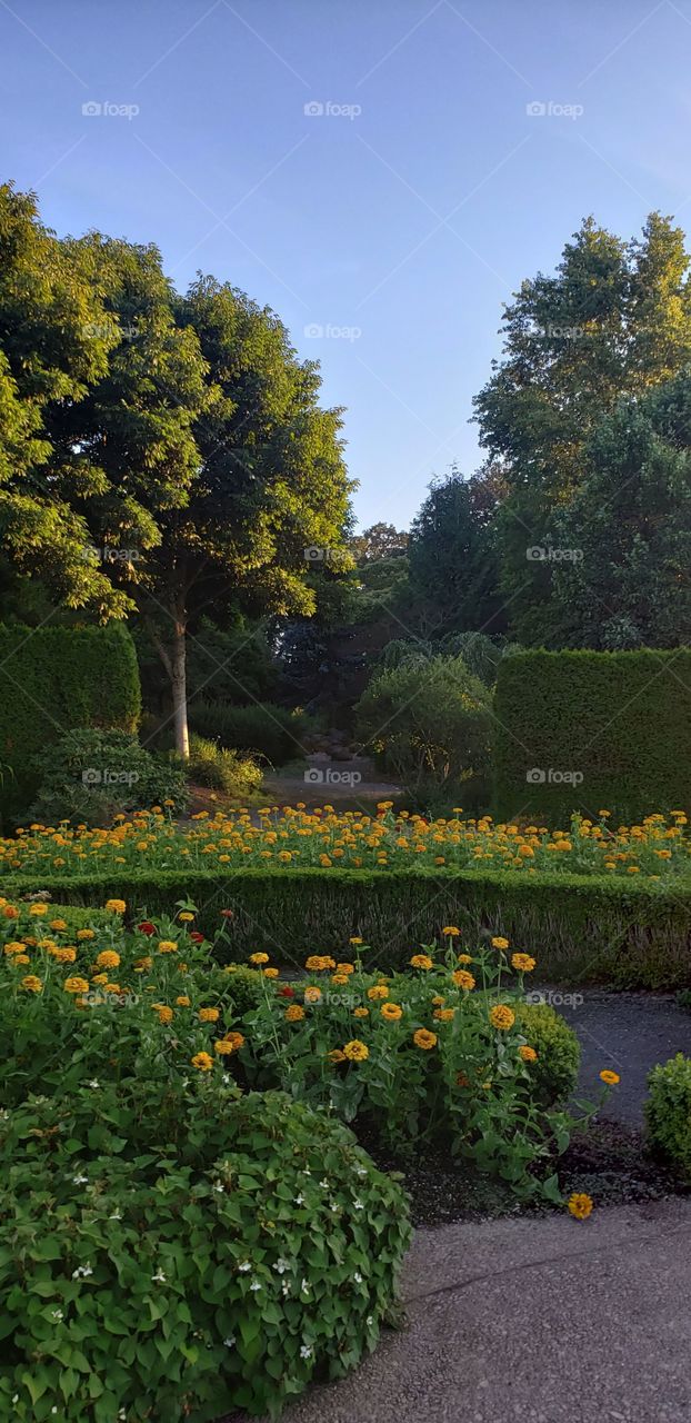 Beautiful Oregon Gardens