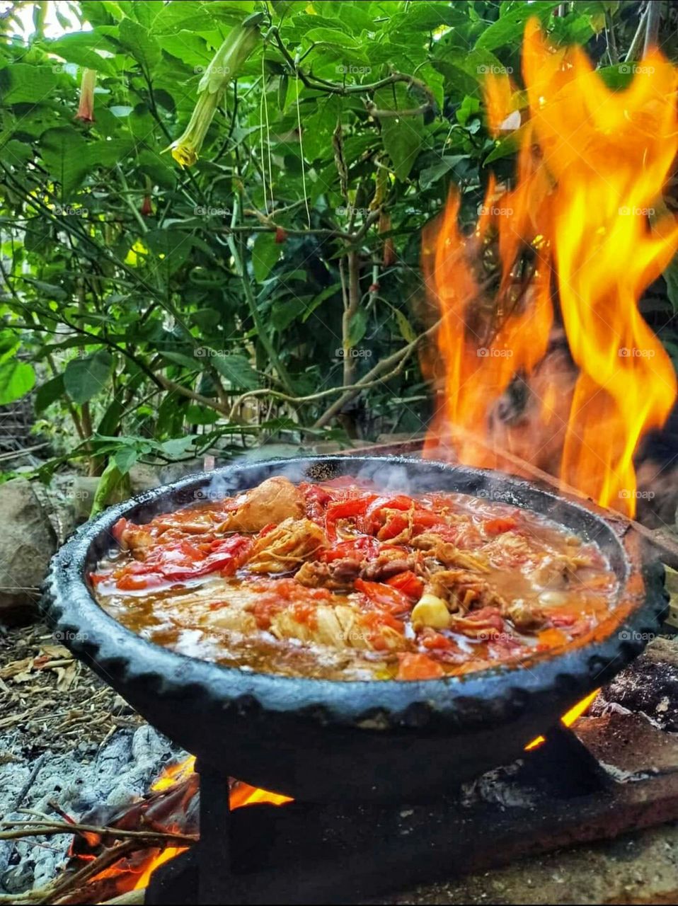 cooking in nature