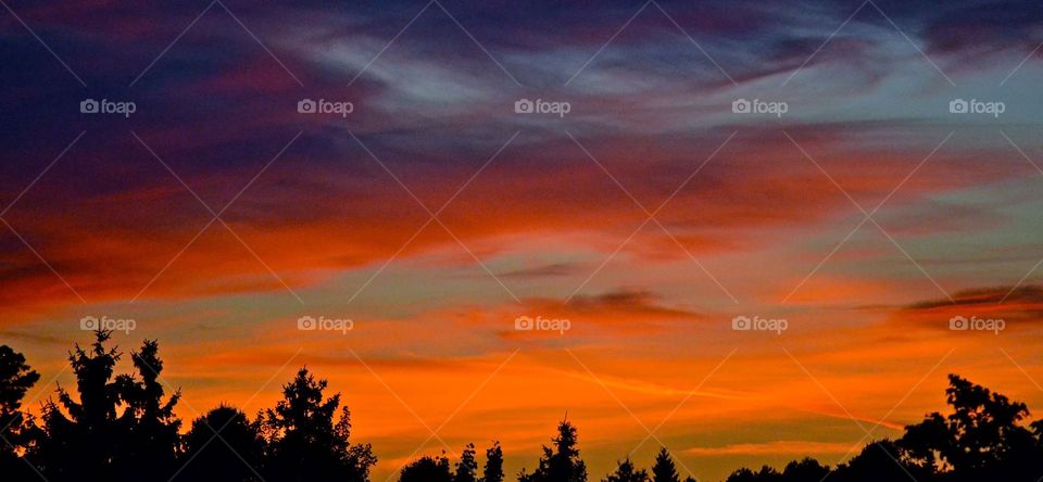 Hösthimmel. Hösthimmel