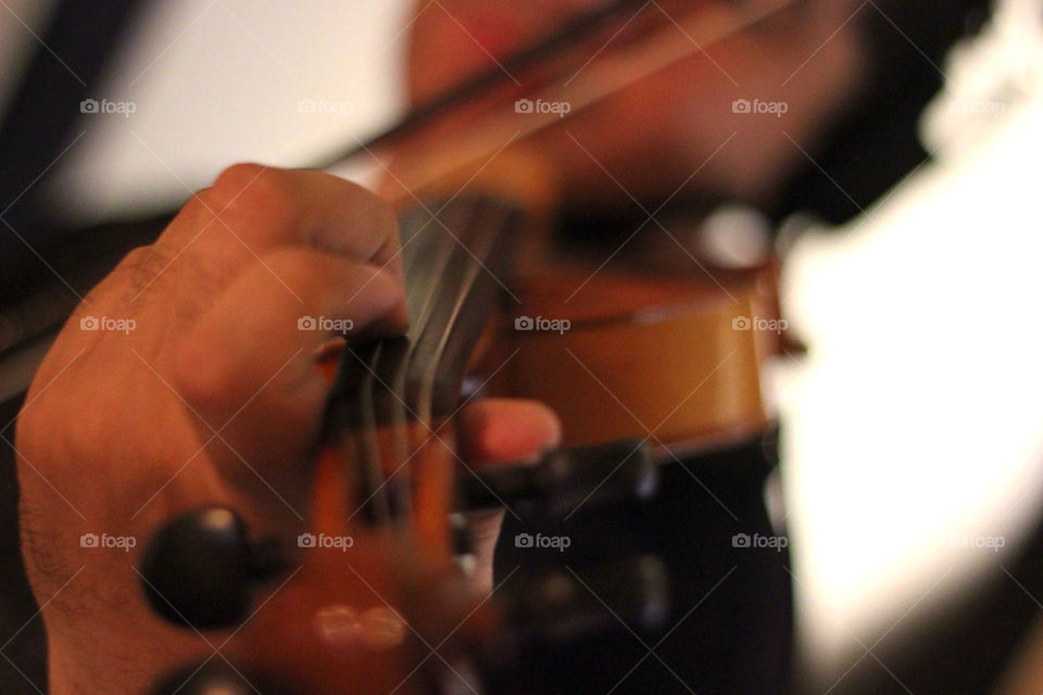 Violin
