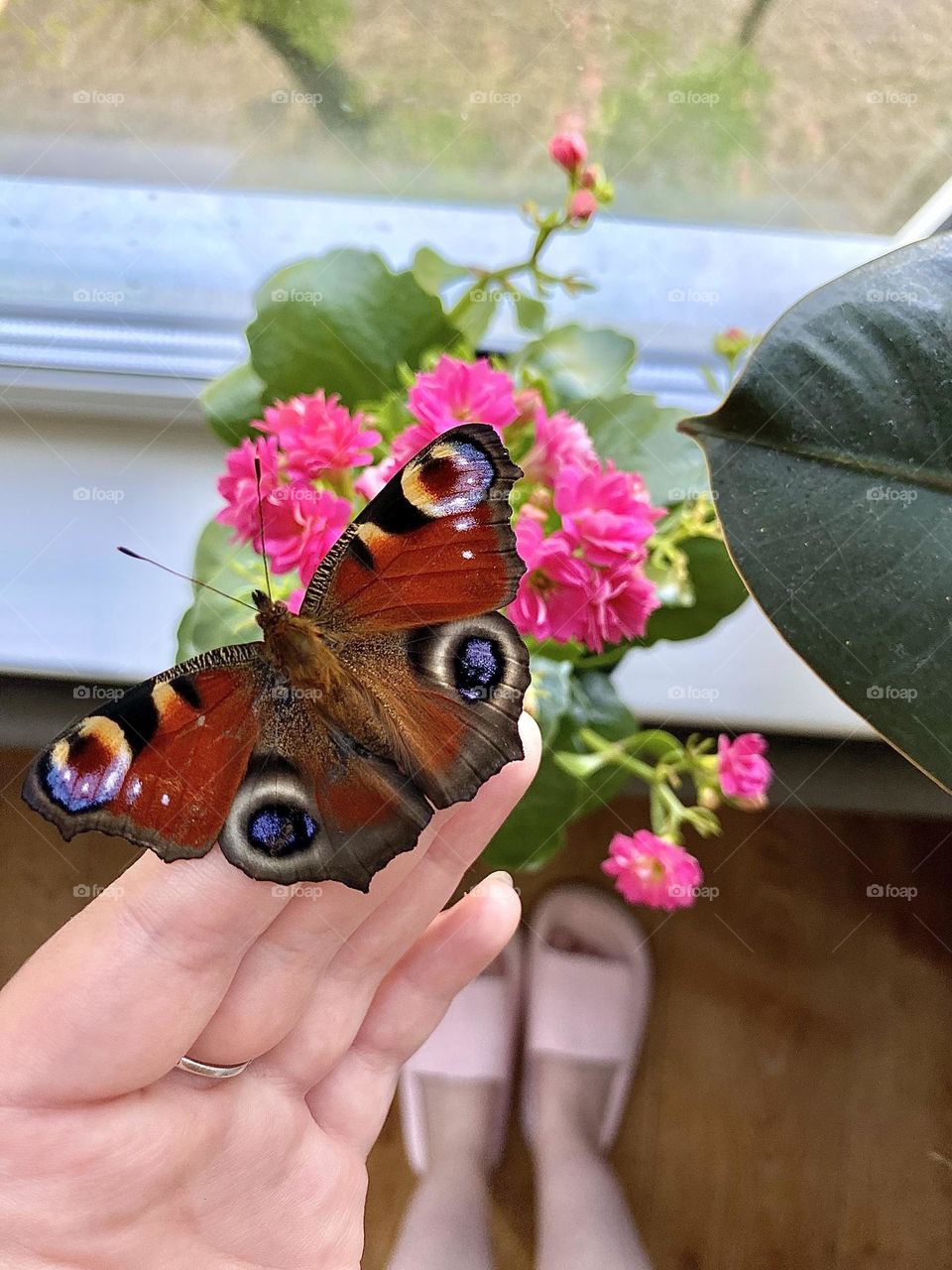 bright colors in minimalism