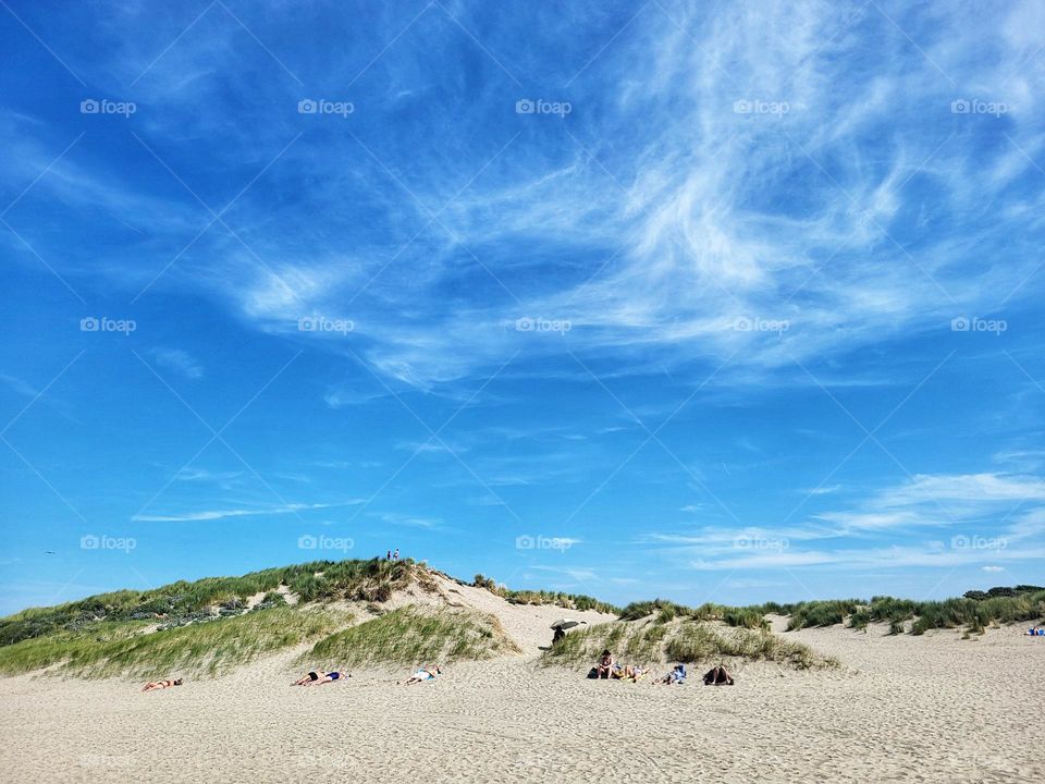 The beach in the Netherlands