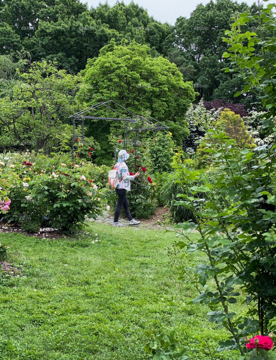 Woman standing in a botanical garden.