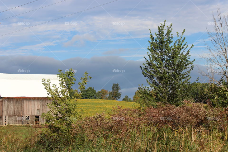 A partly sunny fall day, looking out over the field and the barn in the countryside