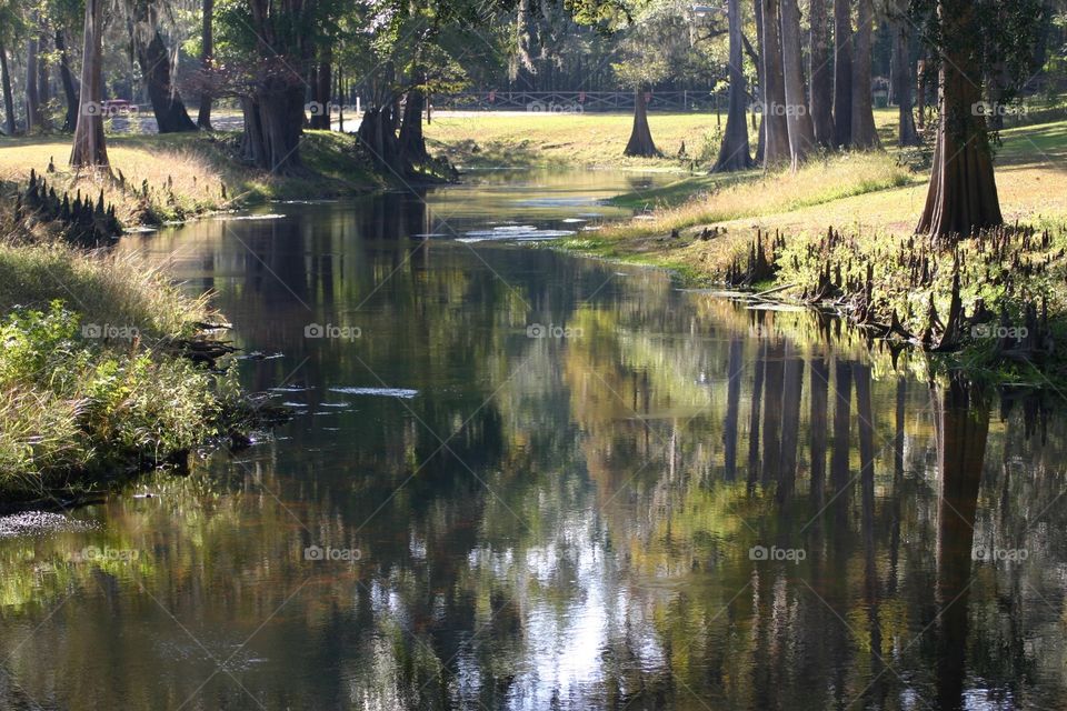 Edges of forest by the River in Santa Fe