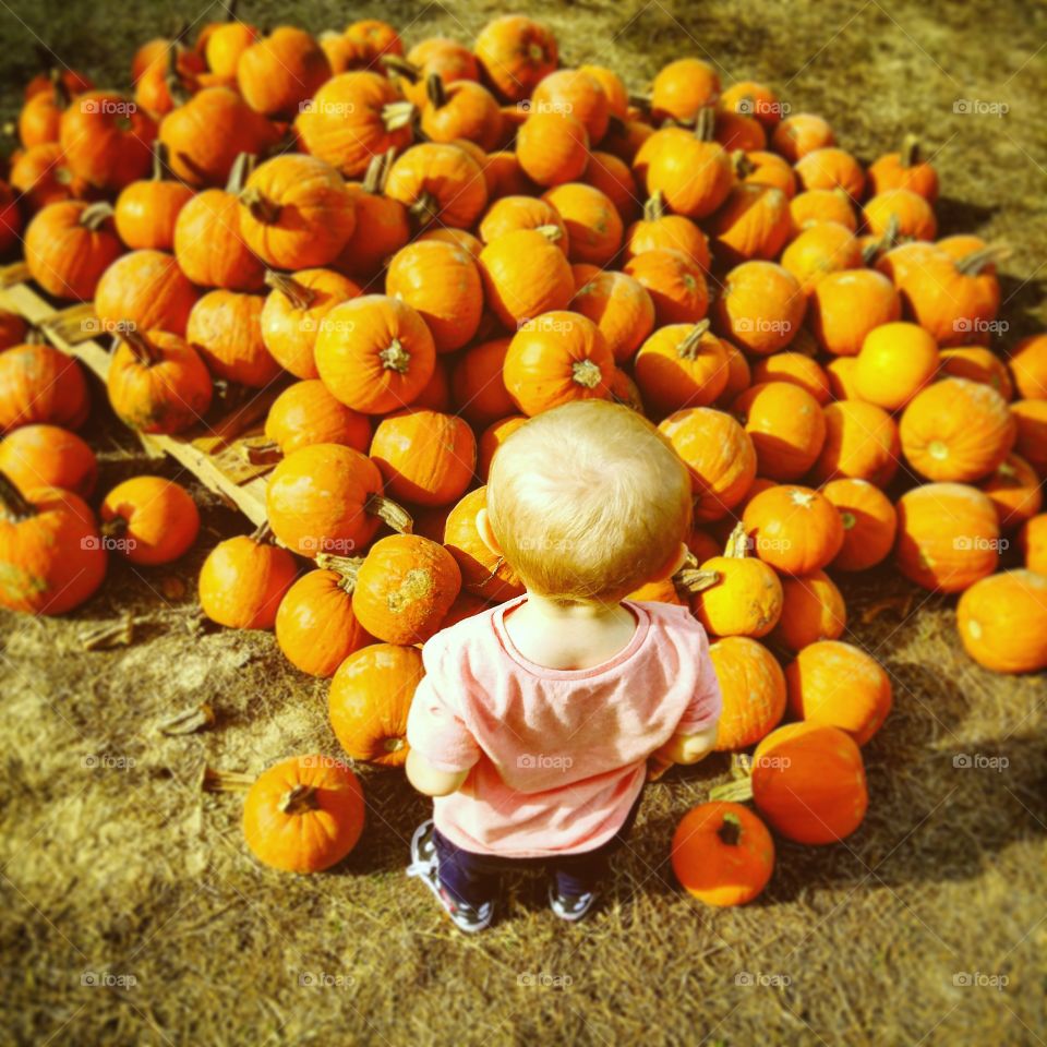 decession decession!