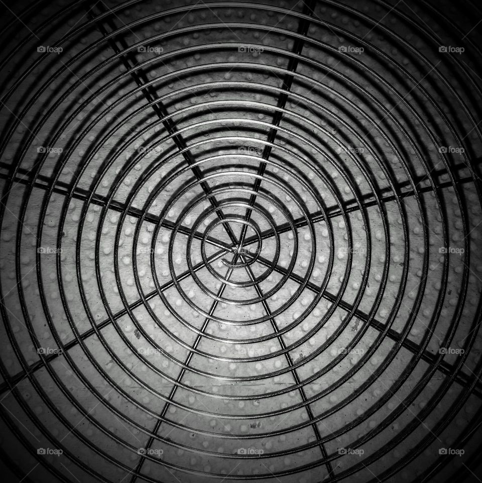 spins web
