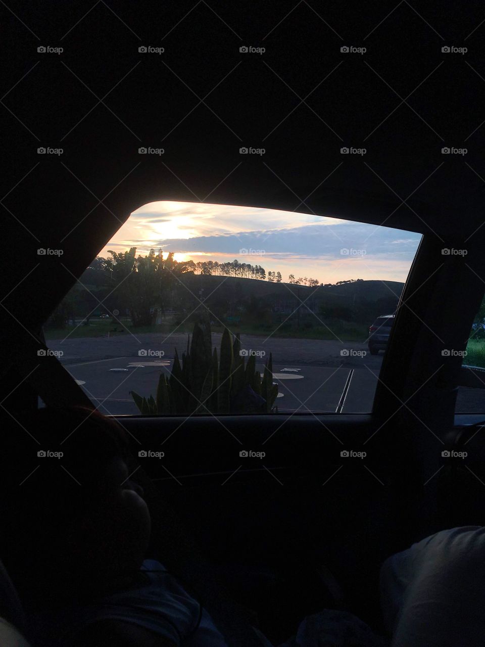 Sunset 🌅