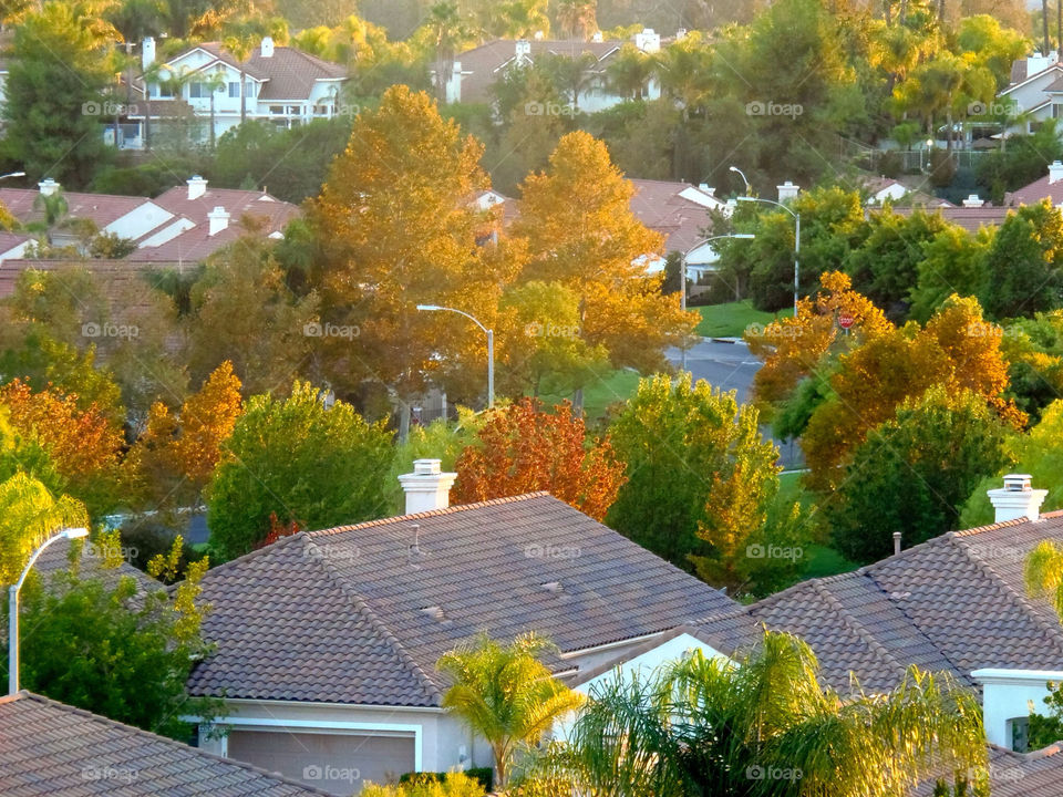 lora backyard view murrieta by lg92562