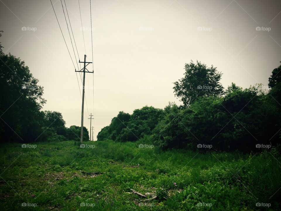 just some phone wires on a hill 