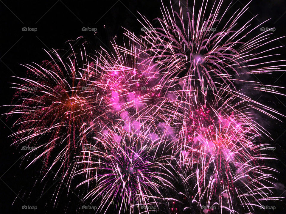 Pink Fireworks 