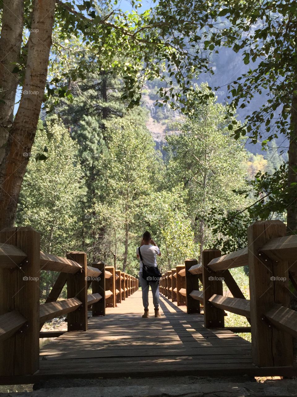 Man walks on the bridge in the woods