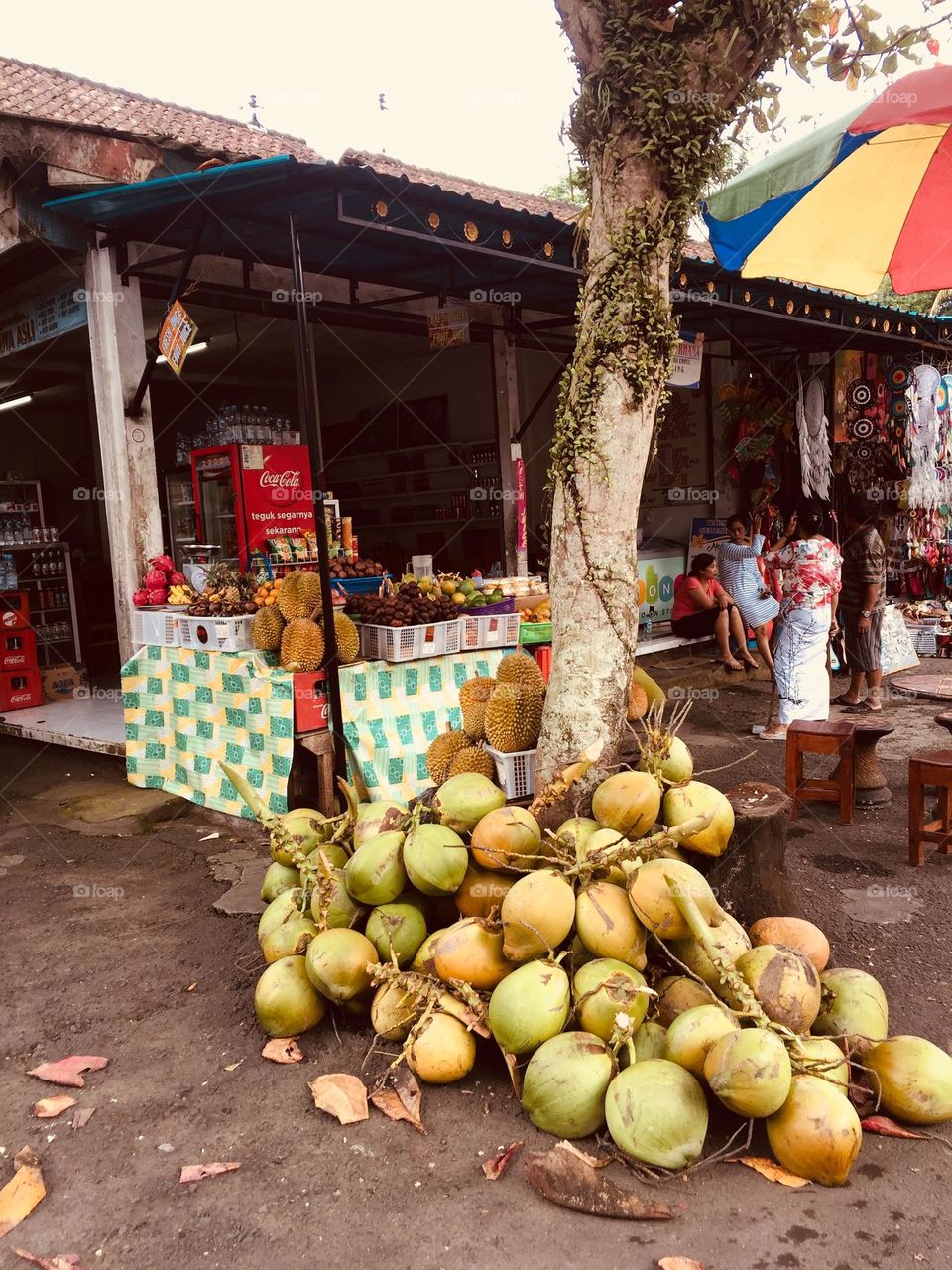 Pile of coconut fruits against a tree next to a fruit market in Bali island for sale 