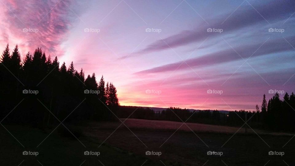 Panoramic view of field at sunrise