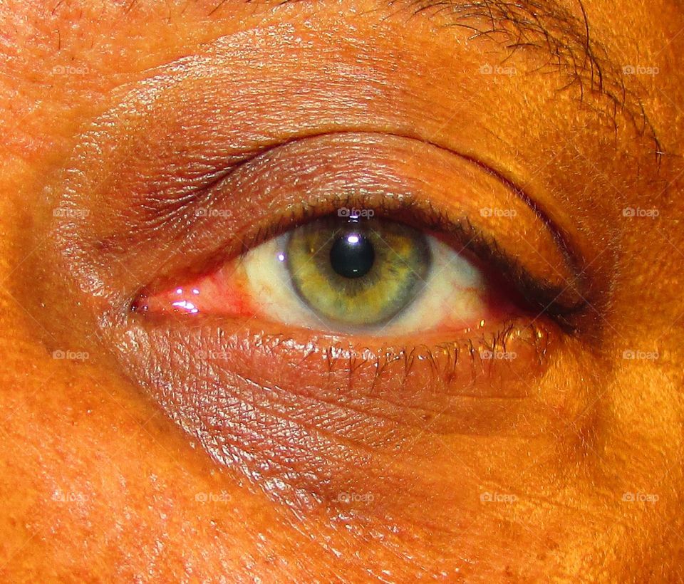 human eye Hazel in color