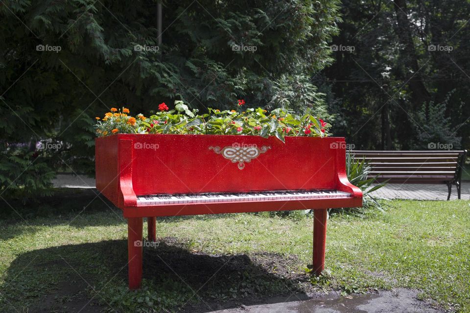 Red piano as flower bed .