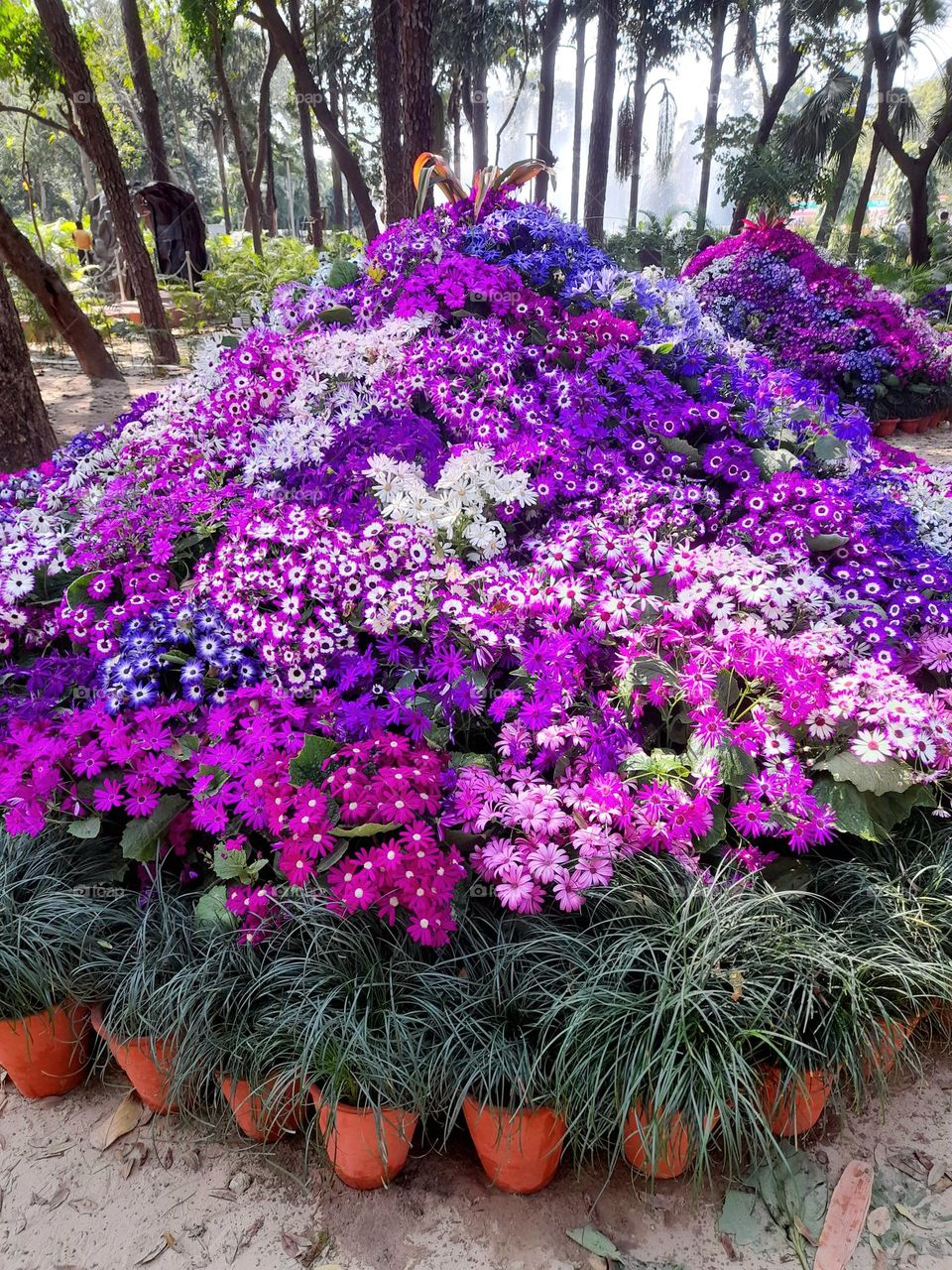 vibrant colors of mother nature.