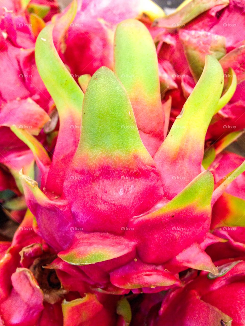 Hawaiian Dragon fruit