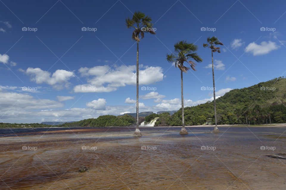 Canaima National park in Venezuela.