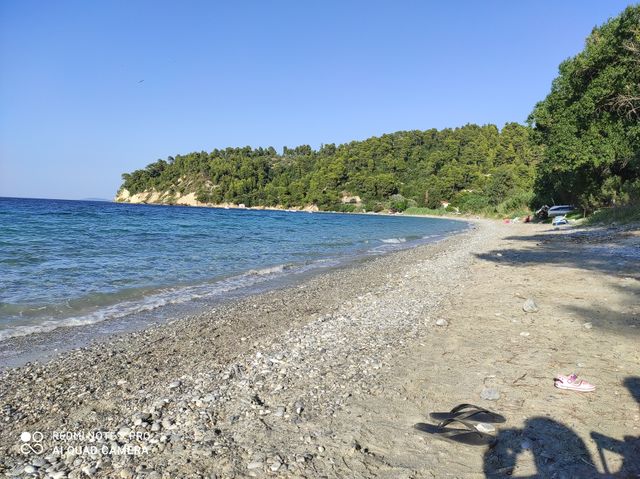 agriovotano evoia Greece