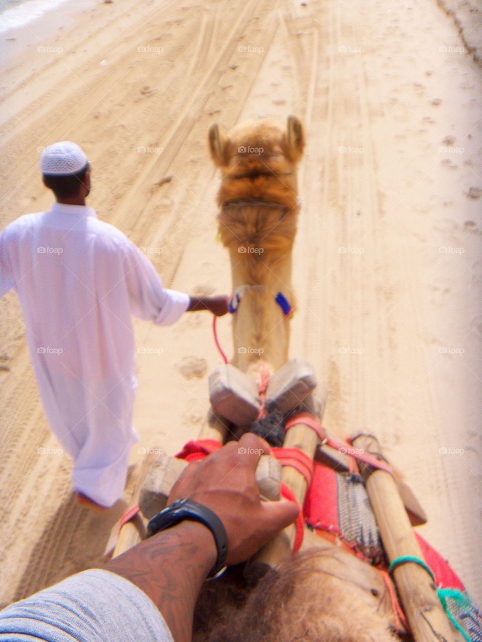 Camel Ride 