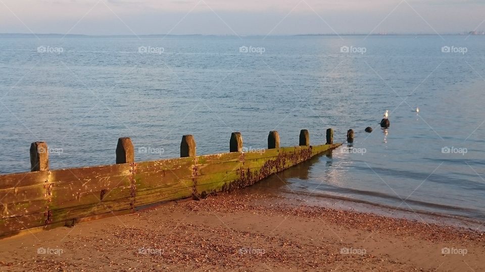 A view from the gravel shore at Westcliff-on-Sea, with gentle waves lapping, and two out of focus seagulls off the end of a wooden groyne. Observed in Spring.