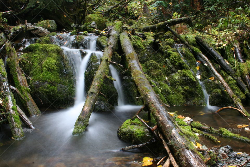 Lush Green Waterfall