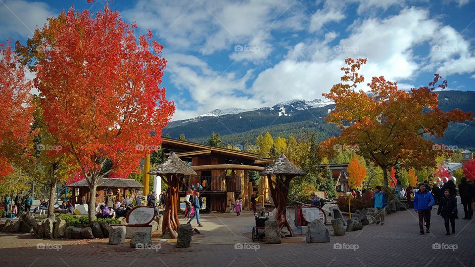 Fall Whistler
