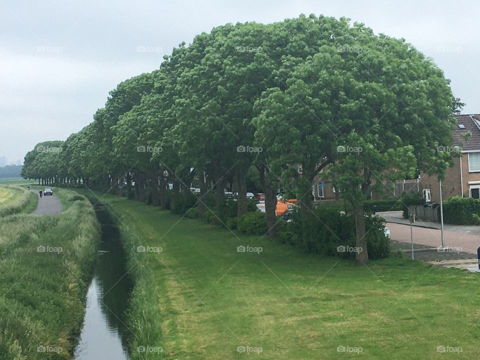 Geervliet village in the Netherlands 