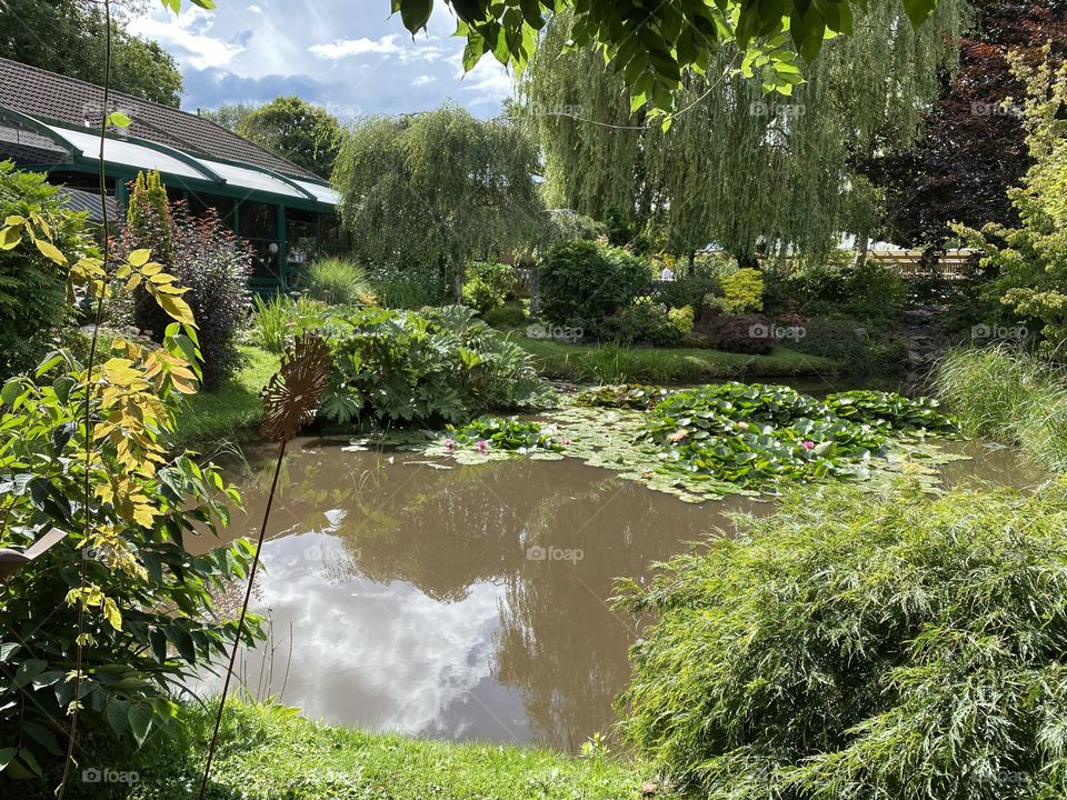 A rather impressive large nature pond, at the heart of a Garden Centre near Exeter, Devon, UK.