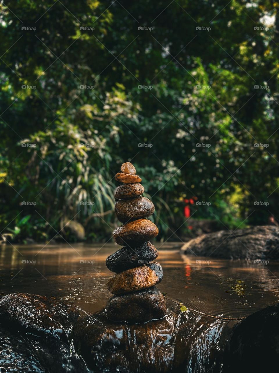 A row of stones in a river where water flows.