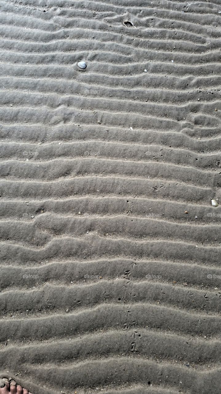 sand beaches