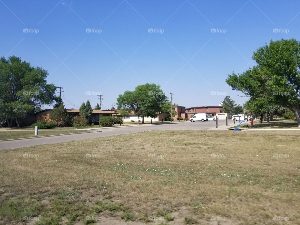 Tree, House, Landscape, Home, Grass