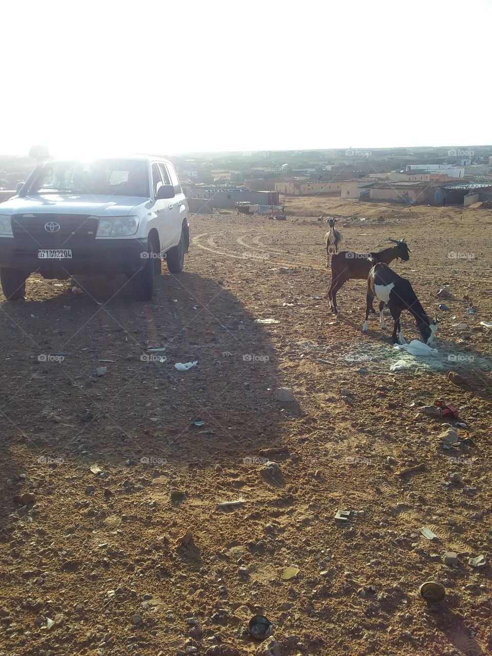 even refugees have a life