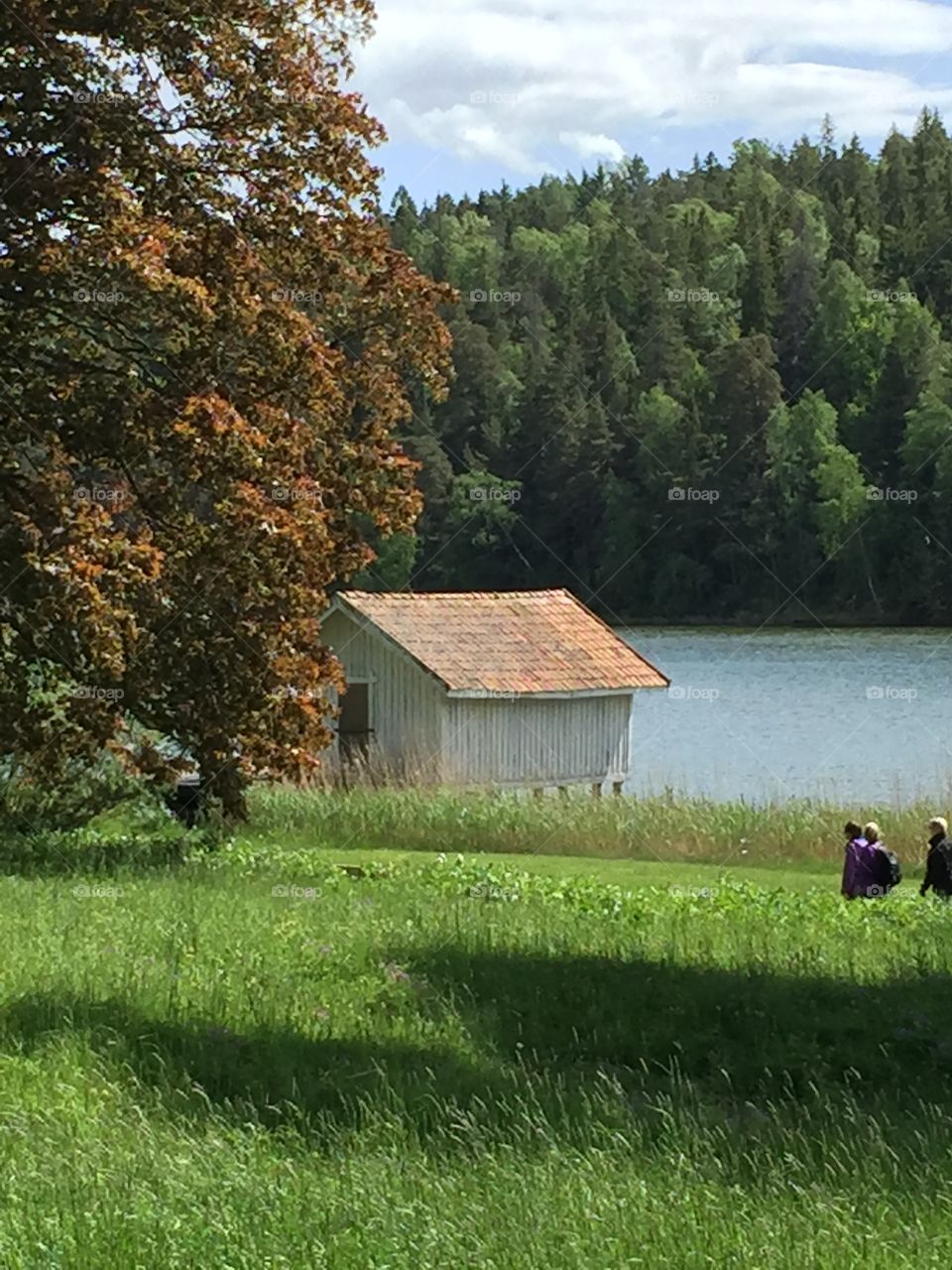 Small cortege by the lake, Sweden