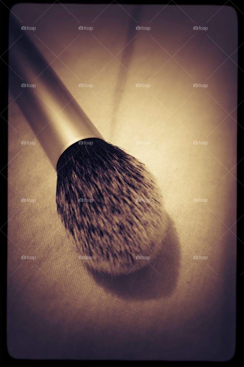 Makeup Brush