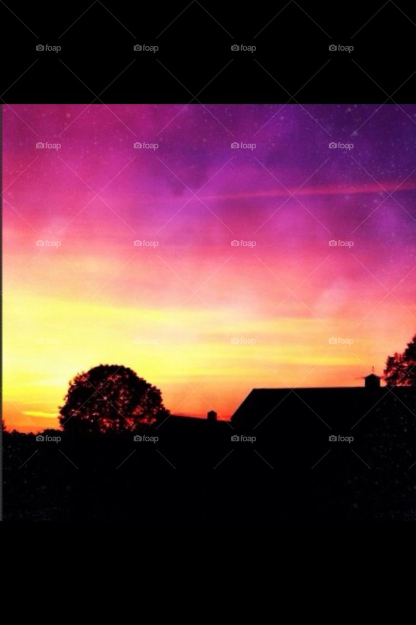 Excuse Me While I Kiss the Sky!