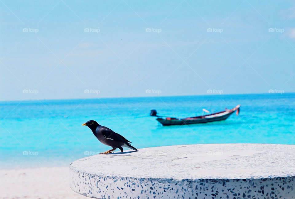 Paradise beach. beautiful scenery of the Gulf of Thailand in koh Phan Ngan