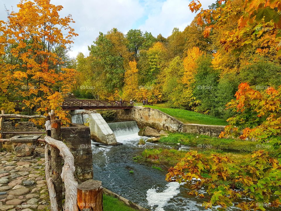 Colorful autumn.