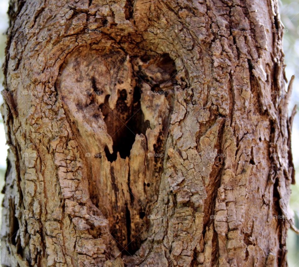 Love heart knot tree