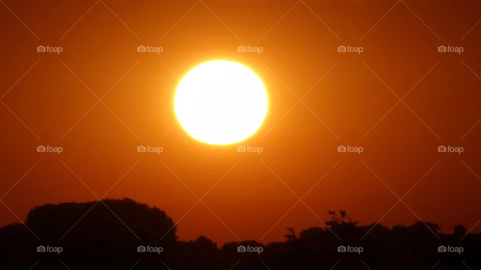 Sunrise