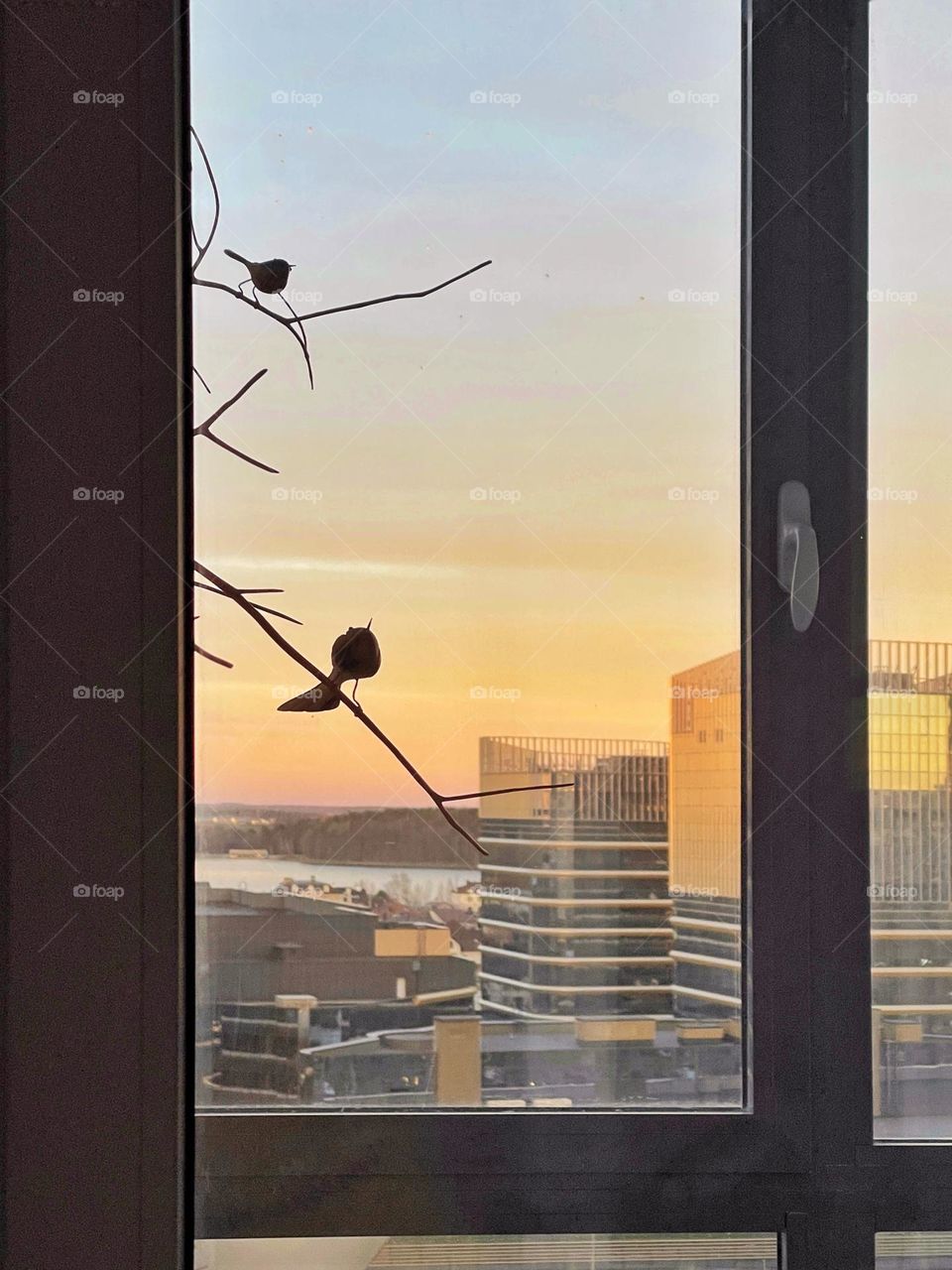 sunset over the city from the window