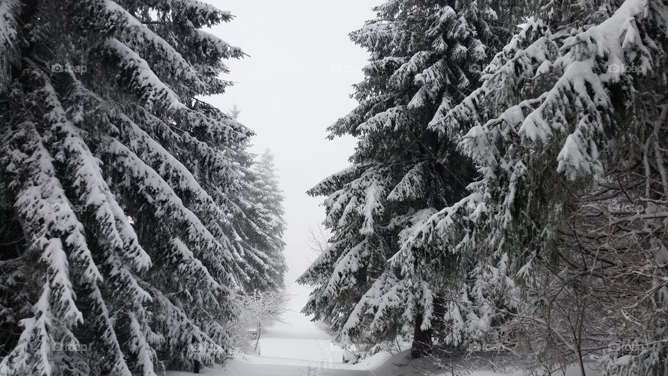 black and white . our climb was 1000 steps from the snow but it was just an uphill