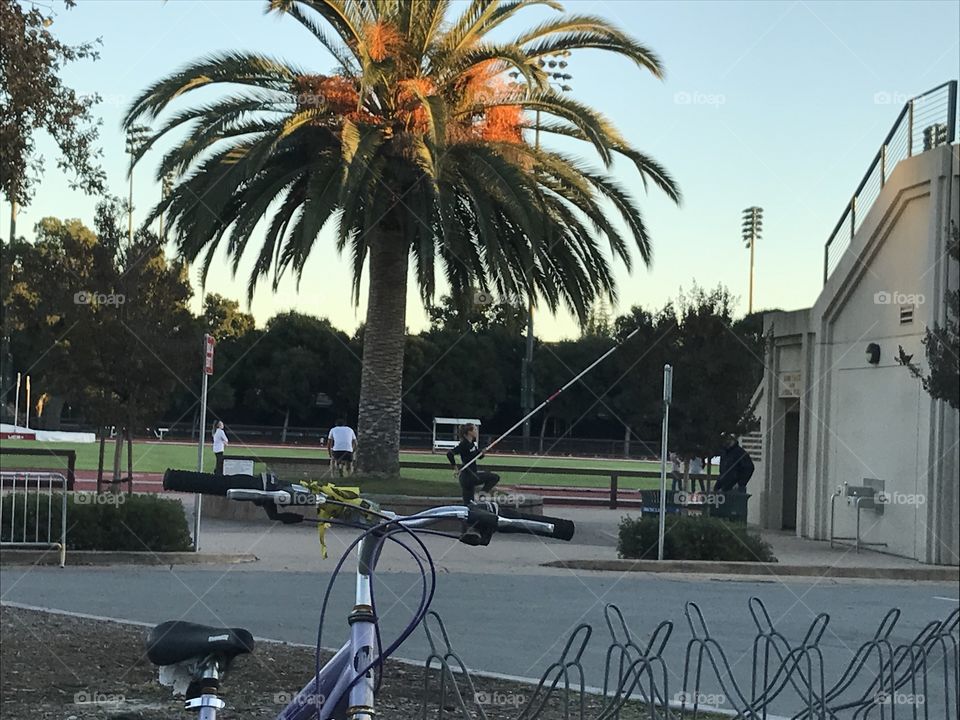 Student athletes practicing at Stanford. Here is a pole vaulter. 