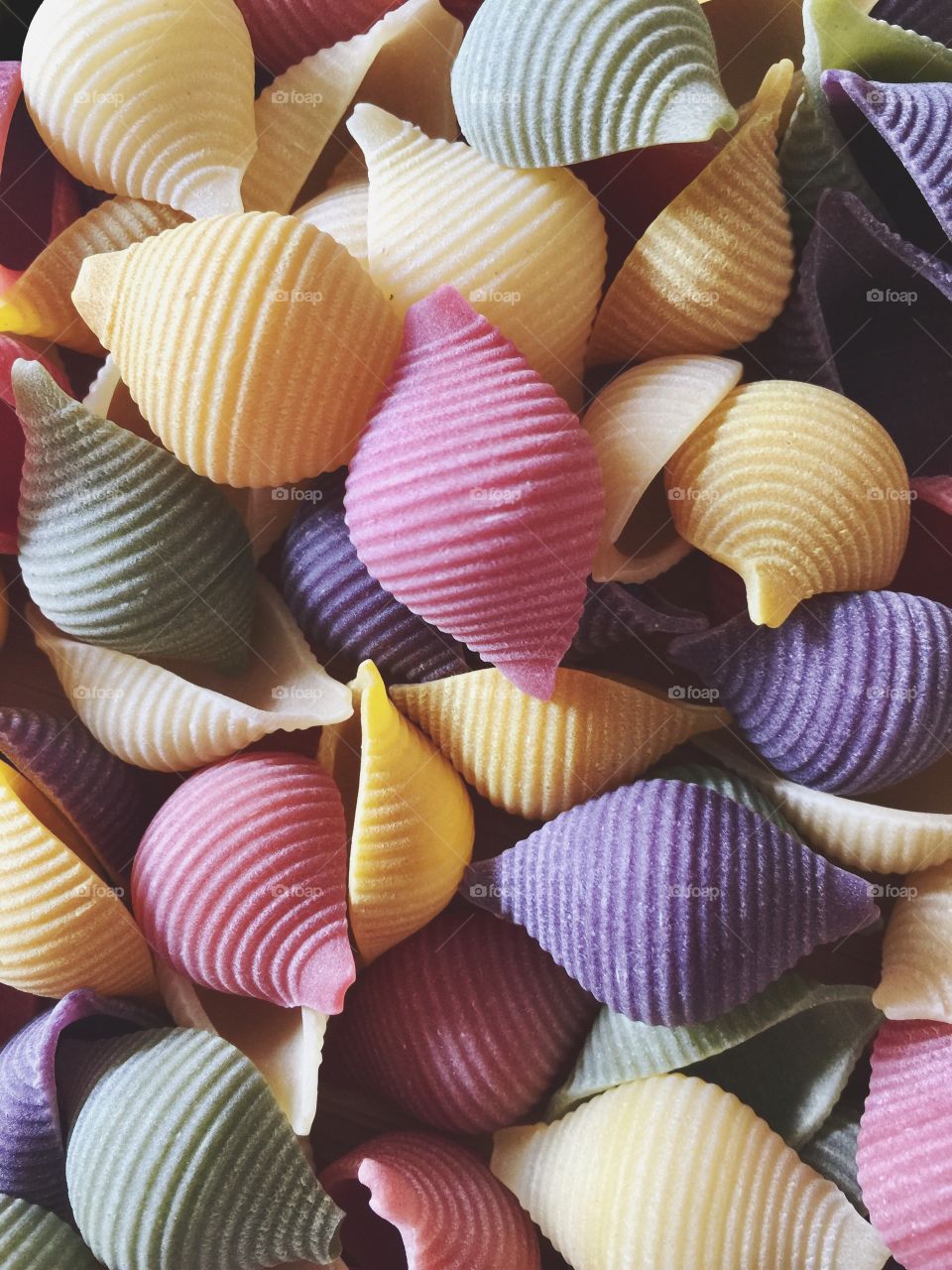 Dried colourful shell pasta 