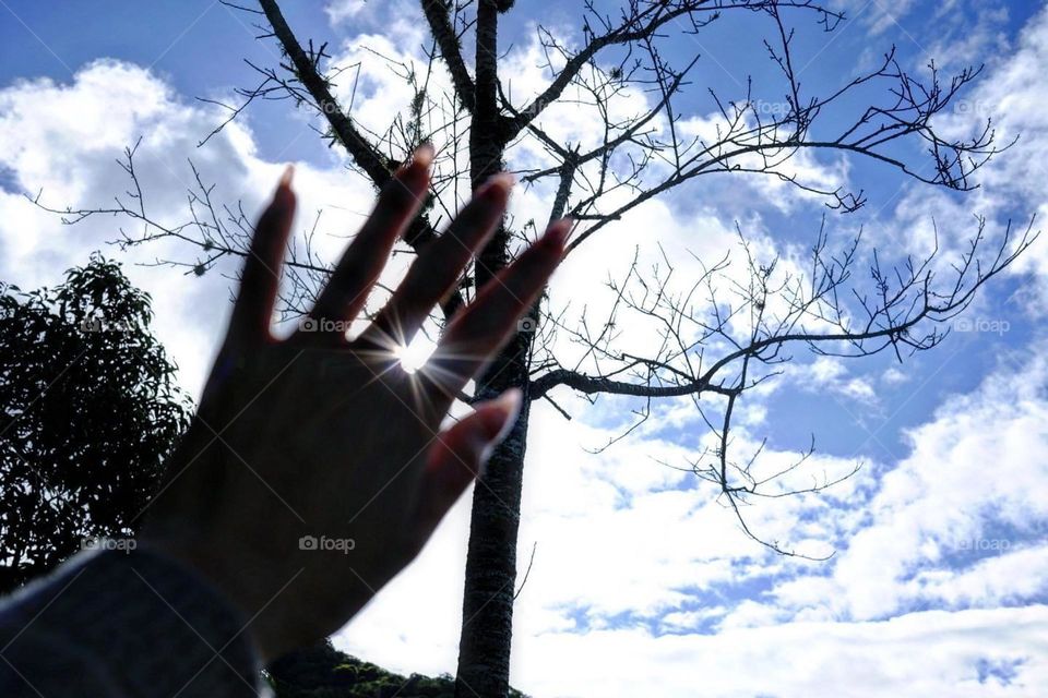 Visual impression and art in life, food and entertainment