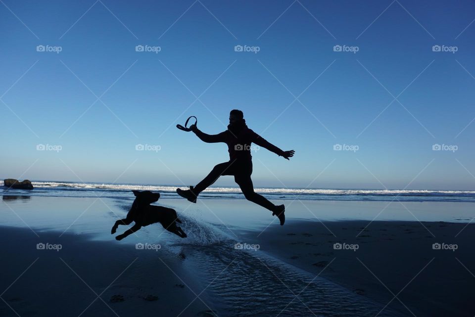 Beach#ocean#human#dog