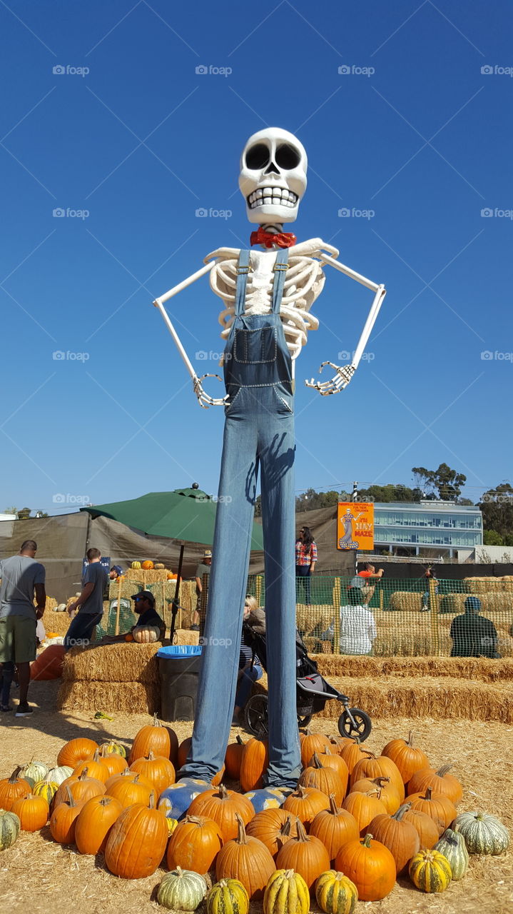 Mr. Bones himself at his Pumpkin Patch in Culver City, CA.