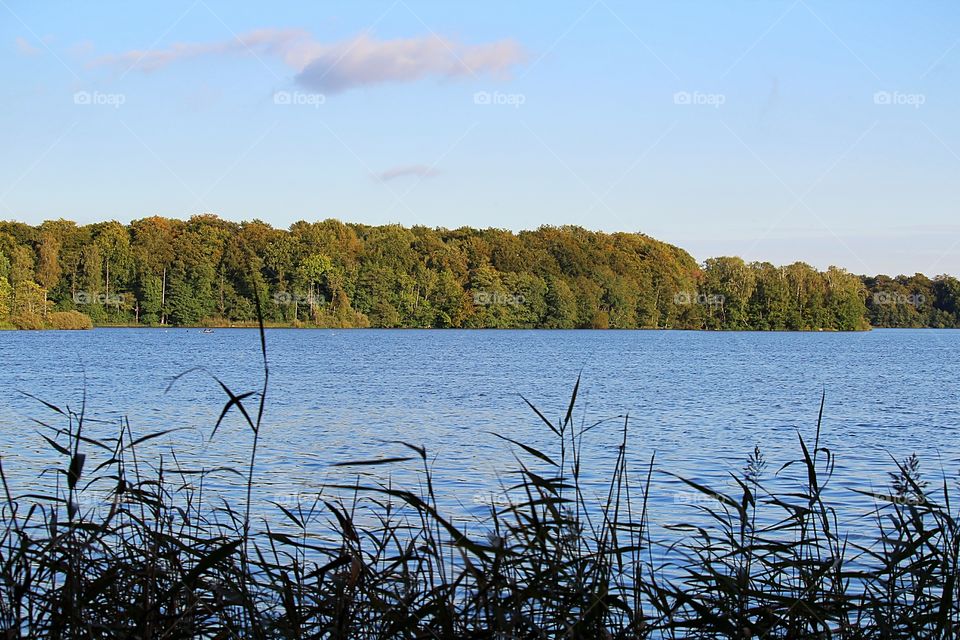 View from barbecue place.
