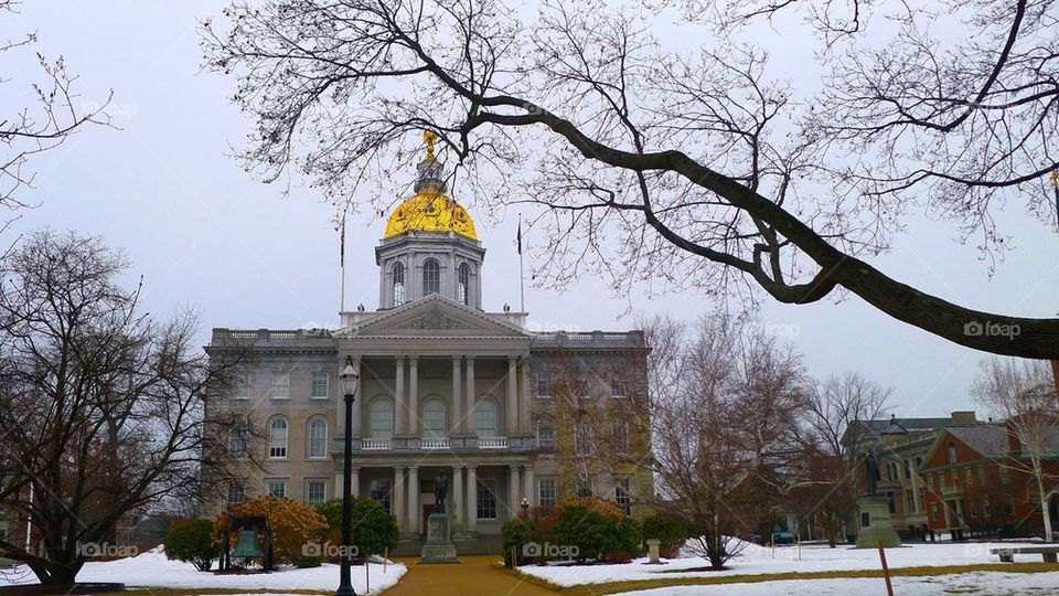 New Hampshire state house